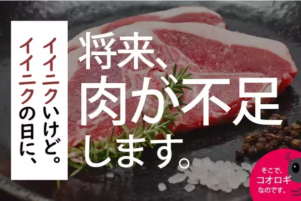 イイニクの日にイイニクいけど、将来、お肉が不足します。長野県で食用コオロギの養殖に挑むクリケットファーム。コオロギオイルでは特許も出願中