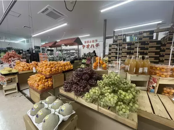 八百屋ベンチャー「ヤオハチ」　総合ディスカウントストア「ドン・キホーテ」内に新規出店！「ヤオハチ 手稲店」12月1日（水）オープン