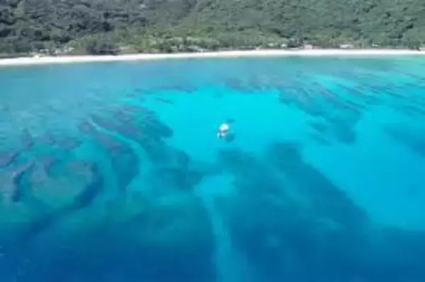 【思い入れがある海での散骨を叶える】海洋散骨の総合情報サイト「やさしい海洋散骨」が、千葉県・沖縄県の散骨エリアを拡充