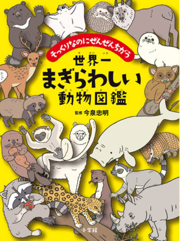 大人もハマる まぎらわしい動物 だけを収録したユニークな動物図鑑 世界一まぎらわしい動物図鑑 がおもしろい 21年12月3日 エキサイトニュース 大人もハマる まぎらわしい動物 だけを収録したユニークな動物図鑑 世界一まぎらわしい動物図鑑 がおもしろい 21年12月3日 エキサイトニュース