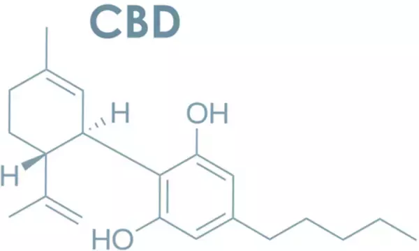 CBD California Trading Company合同会社より、オレンジCBDを使用したCBDオイル「雅Tokyo」の発売記念として、１００名様にプレゼント企画を発表！