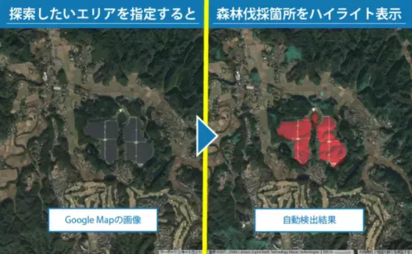 世界中の森林伐採進行状況を衛星データで可視化できる『GRASP EARTH Forest』を開発