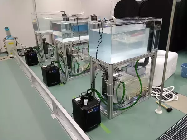 【アイエンター】マリンテック研究拠点「横浜ラボ」開設のお知らせ