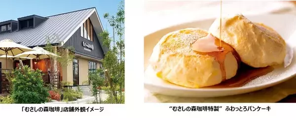 高原リゾートをイメージした、ゆとりの癒し空間　むさしの森珈琲へようこそ。12月9日(木)「むさしの森珈琲 茅ヶ崎若松町店」オープン！