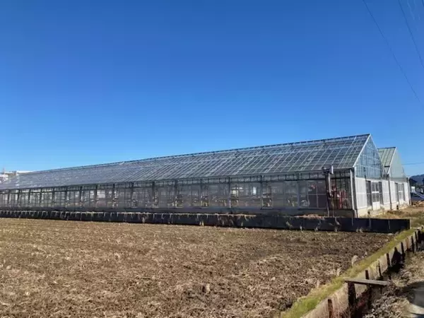 名大発VBグランドグリーン、開発の加速に向け、研究農場を愛知県豊橋市に開設