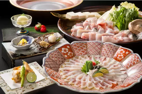 【淡路島三年とらふぐ会席】てっぴ、てっさ、焼き白子、てっちり、唐揚、雑炊で味わい尽くす