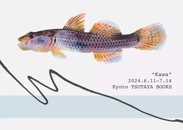 【京都 蔦屋書店】長嶋祐成「川」展を6月11日（火）より開催。京都の川を想起させる、透明感のある淡水魚を描いた原画を展示、販売。