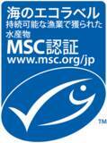 「夏休みの自由研究に　MSC認証についての教育動画「私のお父さんは漁師」を公開」の画像1