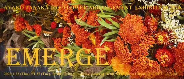 「渋谷ヒカリエ8/CUBE 1,2,3で開催｜花のアート「EMERGE（エマージ）」展｜アヤコタナカドライフラワーアレンジメント」の画像