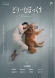 「【メインビジュアル解禁】一匹の犬と寄り添う石川瑠華――動物愛護センターをモチーフに“命を飼う責任”を問う舞台『どりーむぼっくす』東京芸術劇場で上演」の画像1