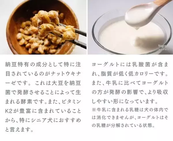 「金沢老舗の米糀を使用したドッグフード。自社会員と共につくった、「発酵健康おやつFERMES」の誕生ストーリー」の画像