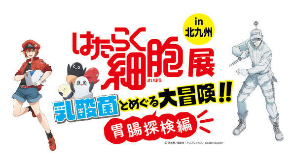 今夏開催 はたらく細胞展in北九州 乳酸菌とめぐる大冒険 胃腸探検編 スペースlabo 北九州市科学館 にて7月21日 木 から 22年4月13日 エキサイトニュース