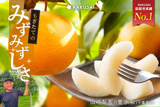 RAKUSAI梨販売実績No.1 山崎梨園の『豊水梨』（千葉県産）