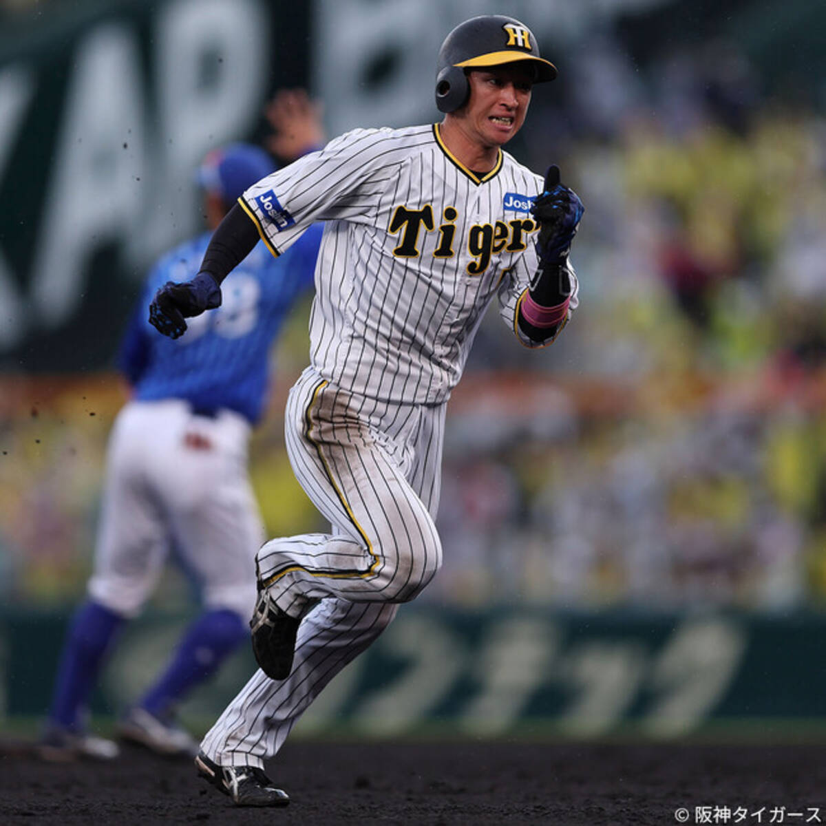 阪神タイガースの近本光司選手とアドバイザリースタッフ契約