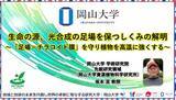 「【岡山大学】生命の源、光合成の足場を保つしくみの解明～「足場＝チラコイド膜」を守り植物を高温に強くする～」の画像1