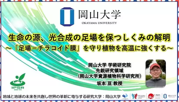 【岡山大学】生命の源、光合成の足場を保つしくみの解明～「足場＝チラコイド膜」を守り植物を高温に強くする～