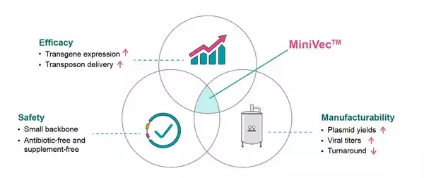「抗生物質フリーの次世代プラスミド「MiniVec™」 ： 耐性遺伝子リスクと規制対応の壁を“設計”で越える」の画像