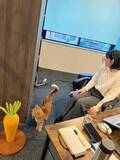 「猫と一緒に働ける会社「猫付きカンパニー(R)」始動します」の画像1