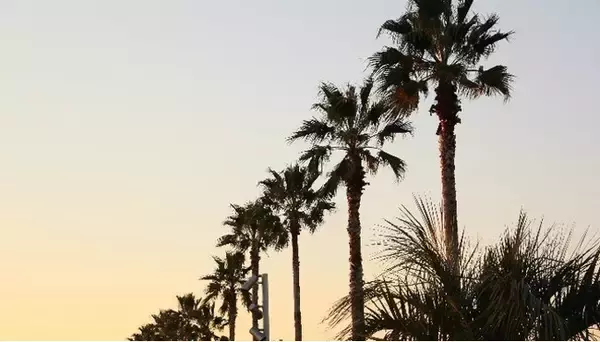 【大阪・泉南】世界のビーチリゾートがSENNAN LONG PARKに大集合!!「WORLD BEACH EXPO」2024年7月20日(土)開催決定