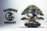 「“盆栽×生成AIアート”──「伝統とは革新の連続」と語る、盆栽プロデューサー小島鉄平による新たな挑戦。「TRADMANʼS BONSAI NFT」 2024年6月より順次販売開始。」の画像1