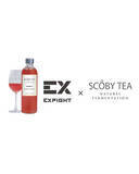 「【クラフトコンブチャ SCOBYTEA】 LDHが手がけるトレーニングジム【EXFIGHT】とコラボレーション」の画像1
