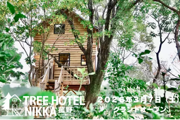 三重・菰野に「ツリーハウス×BBQ×屋内遊び場」が融合した体験型グラン