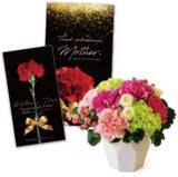 「感謝の気持ちを手のぬくもりに込めて…「2026たかの友梨 母の日エステギフトセット」 販売開始!」の画像1