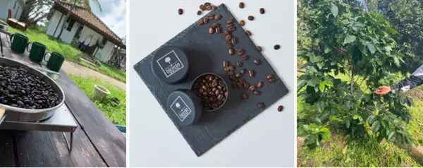 【Bicerin SDGs】“ひとときの贅沢”で “地球にやさしい”取り組みを！国産食材で国内農家を応援。需要確保による生産力の向上・安定。6月より沖縄産コーヒー豆配合ドリンクメニューの提供を開始