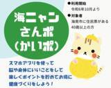「【和歌山県内初】脳にいいアプリ×健康ポイントサービスの活用 海南市健康ポイント施策『海ニャンさんポ（かいポ）』運用開始」の画像1