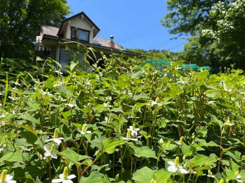 食を整えることは、生き方を選び直すこと。22歳の私がアトピーと向き合う中で見つけた、滋賀から描く食と暮らしの未来