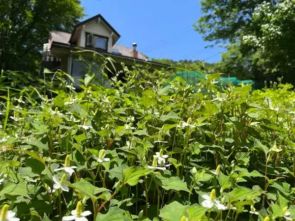 「食を整えることは、生き方を選び直すこと。22歳の私がアトピーと向き合う中で見つけた、滋賀から描く食と暮らしの未来」の画像
