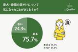 「犬の涙やけケアドッグフード「ホワイトドッグシリーズ」累計販売数約300,000袋を突破！」の画像1