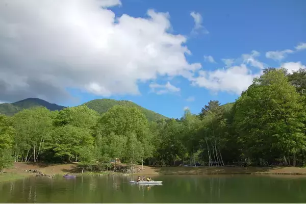 「WILD-1創業40周年記念　ワイルドフィールズおじか プレゼントキャンペーンを開催中。期間中、5000円以上のご宿泊でシェラカップをプレゼント！」の画像