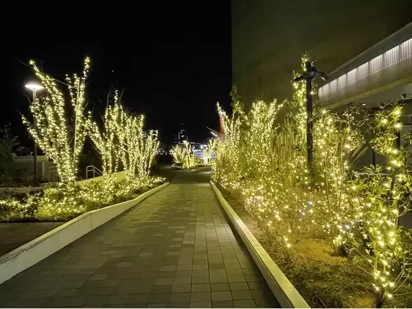 「アトアで過ごす夏、もっと遊べる。営業時間を特別に延長！」の画像