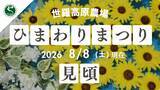 「【広島／世羅】ひまわりが見頃を迎えています《世羅高原農場》 ひまわりまつりは8月23日（日）まで」の画像1