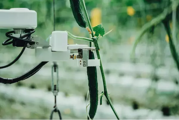 「AI農業のAGRISTが次世代スマート農業パッケージを公民連携で推進することを目的にしたシリーズBラウンド資金調達を実施」の画像