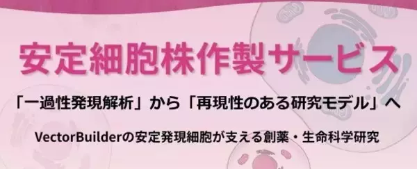 「一過性発現解析」から「再現性のある研究モデル」へ    VectorBuilderの安定細胞株が支える創薬・生命科学研究