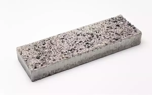 イオンカルチャープレートを用いたワカメ場造成事業が「大阪府万博会場周辺海域ブルーカーボン生態系創出事業」に採択