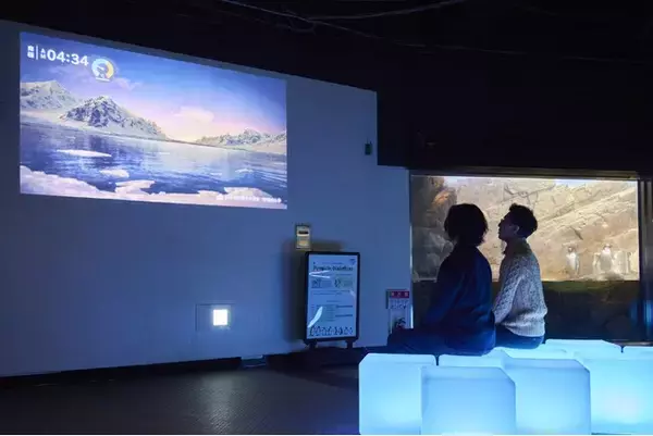 共創型インタラクティブアート空間が誕生　ペンギンワールド・ラウンジ　音楽・香り・映像が連動するマルチセンサリー空間
