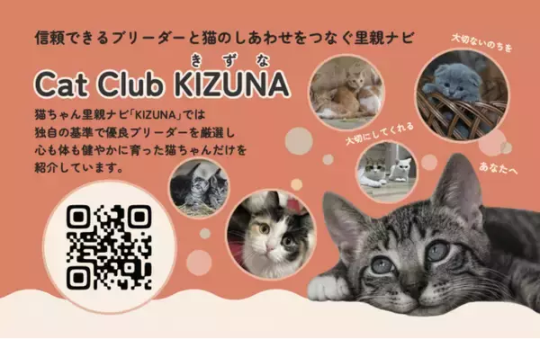 保護猫の里親探しナビ「Cat Club KIZUNA（きずな）」2月22日オープン！