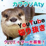 「SNS総フォロワー数257万人 大人気のカワウソYouTuber「Aty」「Ui」と「にゃん先輩」ファンの皆様からの切り抜き動画募集開始 サブチャンネル「MrCat」で公開！」の画像1