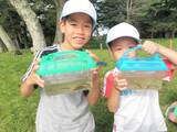 「リゾートホテルの森や池で採集する森の昆虫＆池の生き物大調査隊や上越市立水族博物館うみがたりの「観て、触って、知る！海の生き物観察会」など夏休みの自由研究プログラムを開催」の画像1