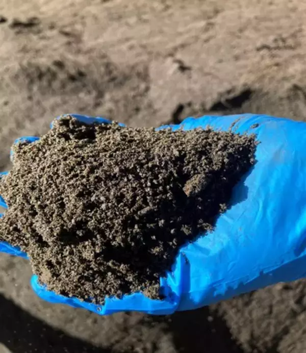 「紅茶飲料の製造過程にて発生する紅茶粕を牛の飼料として活用開始」の画像