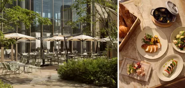 「ジャヌ東京『2つのテラスを舞台に楽しむ、ジャヌ東京の春』愛犬とともに新緑と桜に包まれる「ピクニックat テラス」と東京タワーを望むテラスで味わう「イブニングハイティー」」の画像