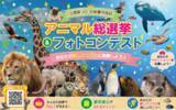 「【JAF栃木】北関東No.1の推し動物は誰だ！？かわいい　かっこいい　応援したい！北関東の人気動物たちが集結「JAF北関東　推しアニマル総選挙＆フォトコンテスト」初開催！」の画像1