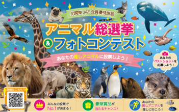 【JAF栃木】北関東No.1の推し動物は誰だ！？かわいい　かっこいい　応援したい！北関東の人気動物たちが集結「JAF北関東　推しアニマル総選挙＆フォトコンテスト」初開催！