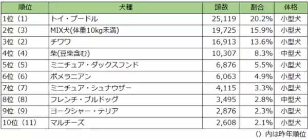 最新版！『人気犬種ランキング2023』、トイ・プードルが14年連続１位、MIX犬がチワワを抑えて初の２位