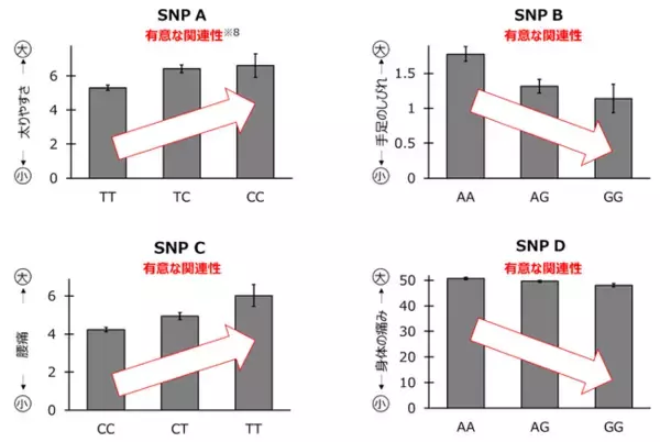 L-シトルリンに関わる遺伝要因の違いが血管老化の症状と関連することを発見