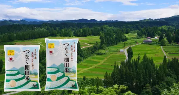 【「つなぐ棚田遺産」認定数日本一のまち・新潟県十日町市】「見る」絶景を、「食べて」未来へつなぐ。希少な棚田米と生産者の想いが届く「つなぐ棚田米」、ふるさと納税返礼品として提供開始
