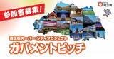 「【埼玉県】地域課題の解決に向けて自治体と連携する企業等を募集 埼玉版スーパー・シティプロジェクト ガバメントピッチ開催」の画像1